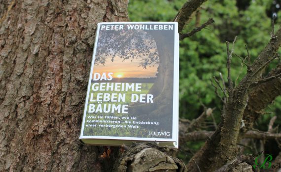 Peter Wohlleben - Das geheime Leben der Bäume