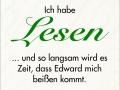 ich-habe-lesen-013