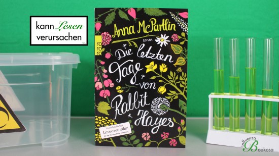 Anna McPartlin - Die letzten Tage von Rabbit Hayes