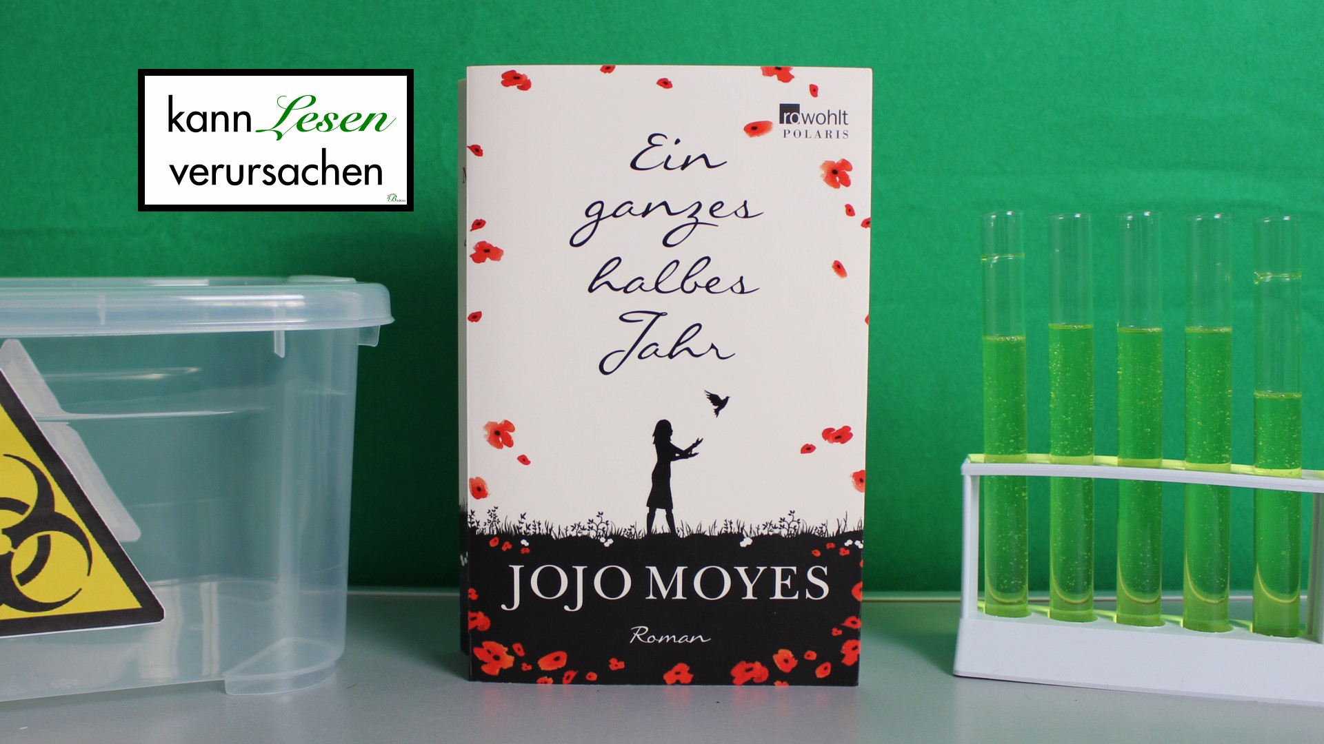 Jojo Moyes - Ein ganzes halbes Jahr